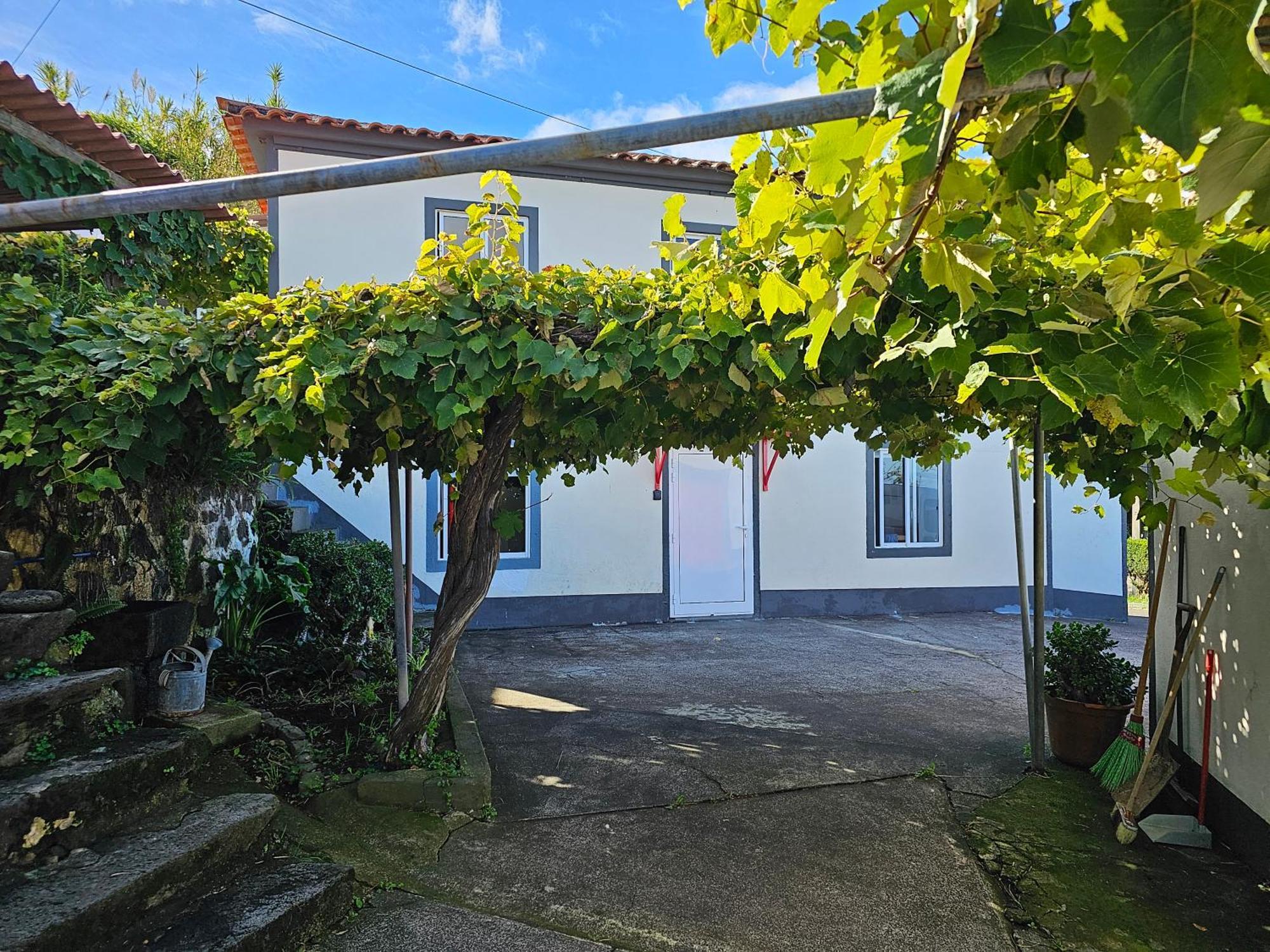 Casa Anjos Holiday Cottages Cedros Bagian luar foto