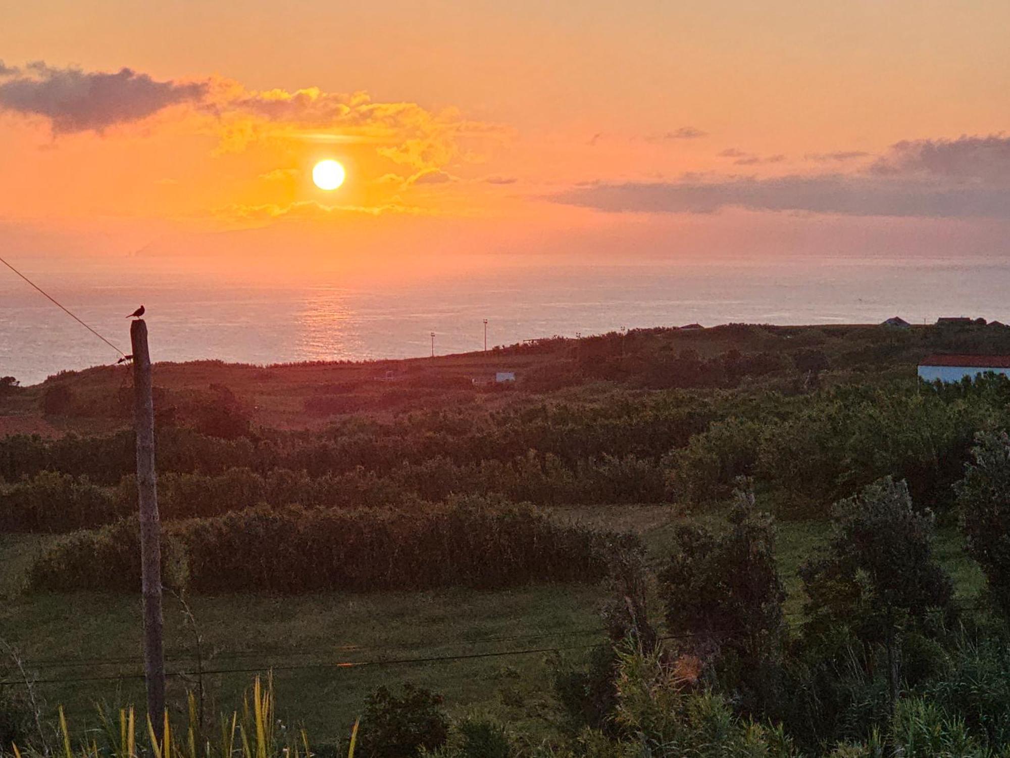 Casa Anjos Holiday Cottages Cedros Bagian luar foto