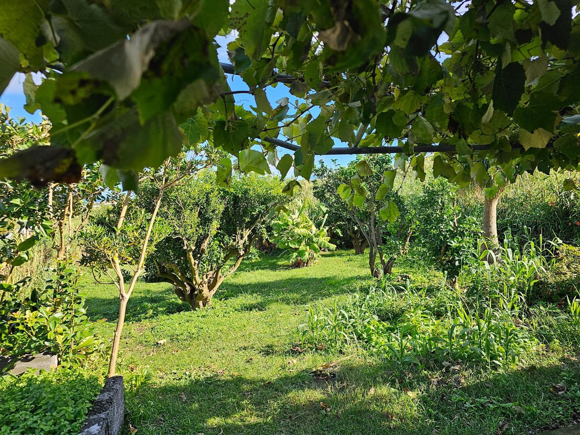Casa Anjos Holiday Cottages Cedros Bagian luar foto