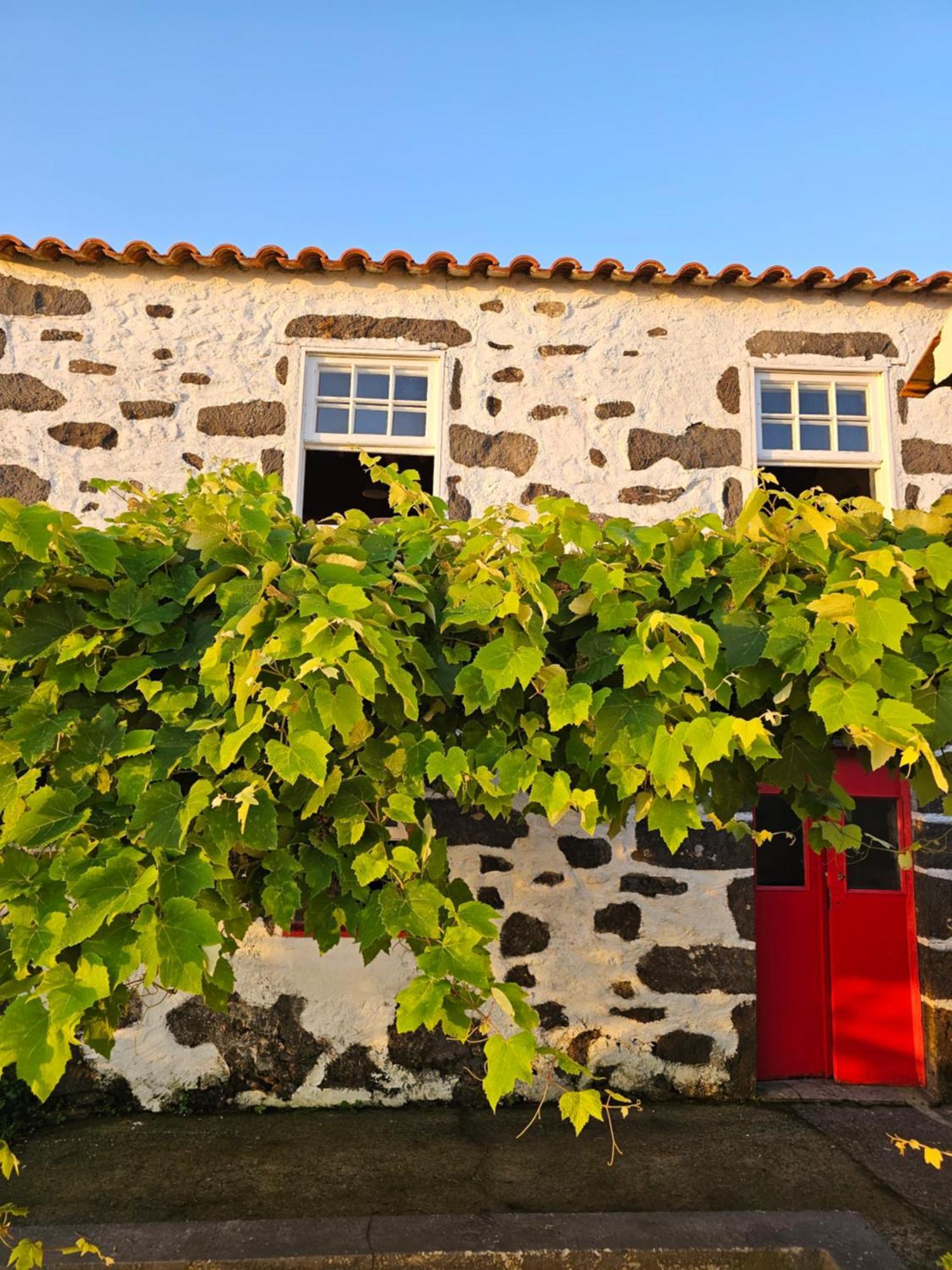 Casa Anjos Holiday Cottages Cedros Bagian luar foto