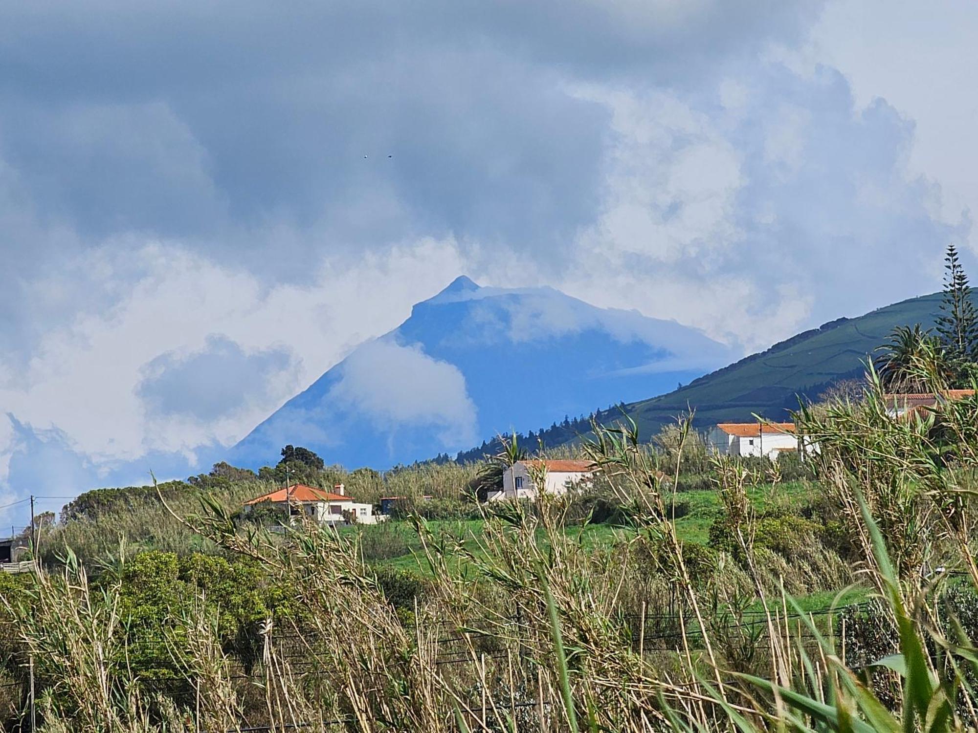Casa Anjos Holiday Cottages Cedros Bagian luar foto